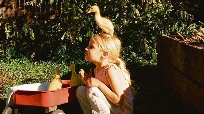 Dakik misiniz yoksa son dakika gelene kadar oturup bekler misiniz?