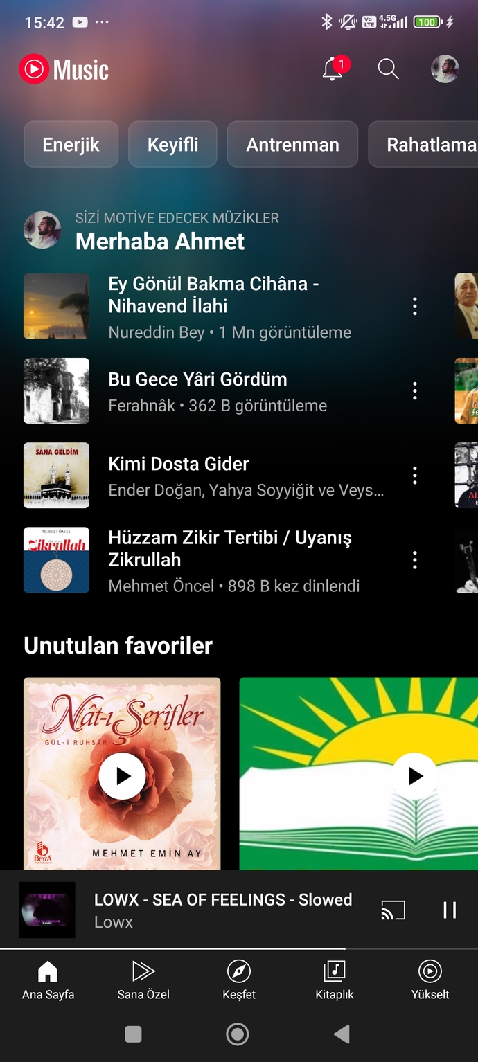 Elektronik müzik dinlemeyi sever misiniz?