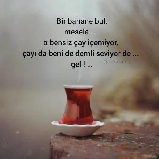 Resmini çizmek istiyorum diyerek sanatsal bahanelerle, hiç birini görmeyi başardınız mı?