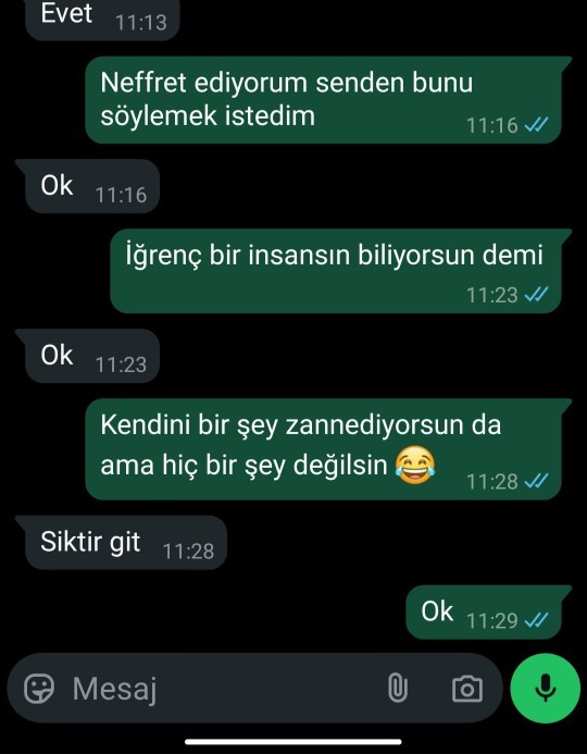 Eski sevgilime mesajlarım kırıcı mı?