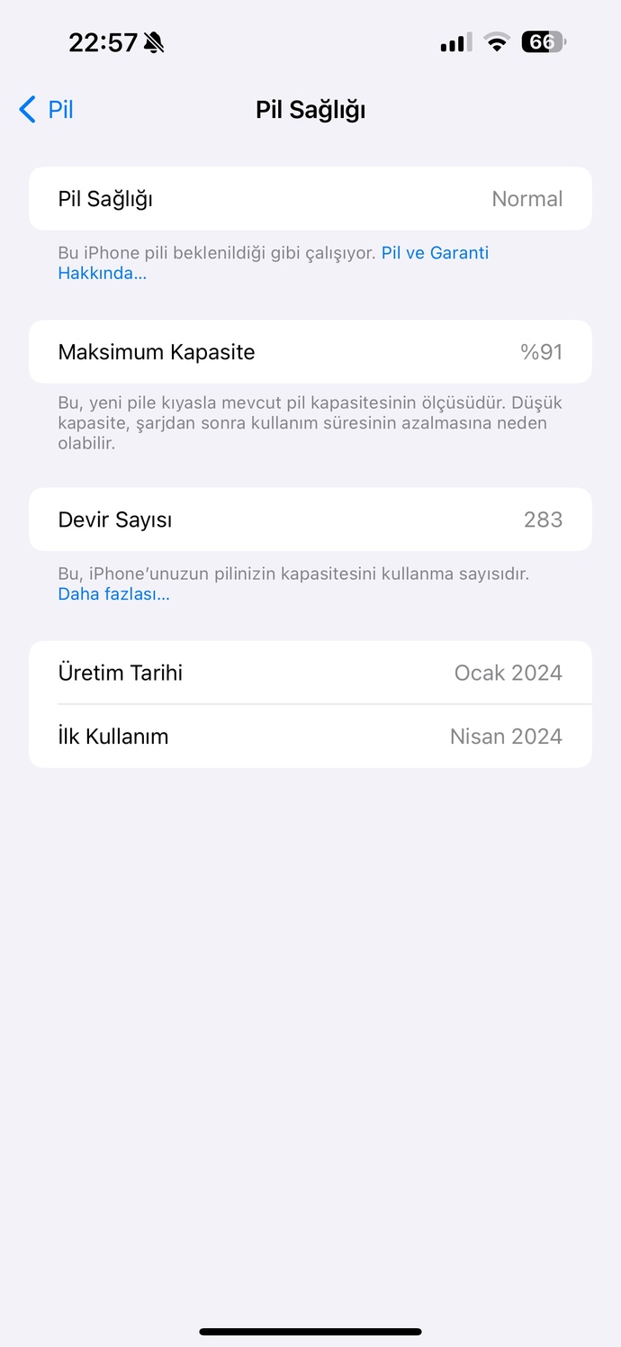 Telefonumu alalı 1 yil olmadi ama lil sagligim %91 neden bu kadar cabuk dusmus olabilir?