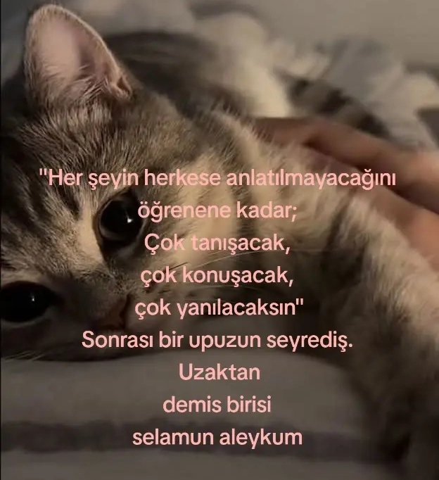 Herseyinizi herkese anlatır mısınız?