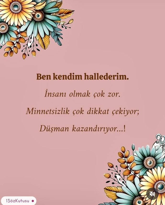 Nasılsınız, aklıma bir soru geldi hemen KS üyelerine sorayım dedim?