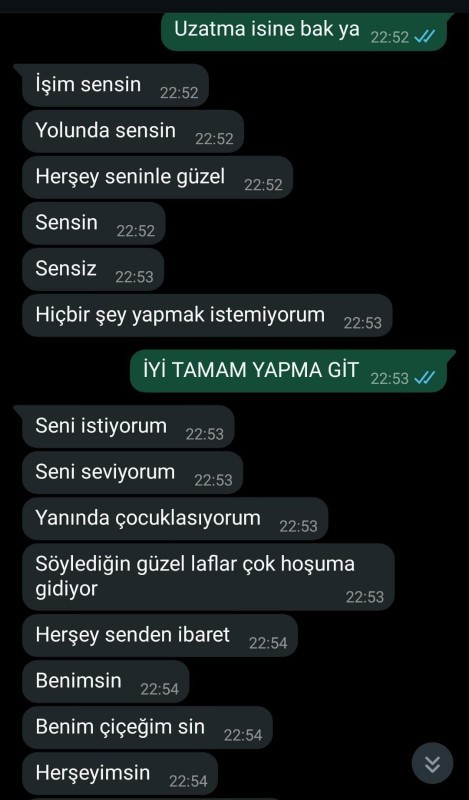 Sarhoşken mesaj yazdı. Diyor ki sen benim dünyamı s1ktin. Bu nasıl laf ya?