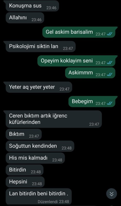 Sarhoşken mesaj yazdı. Diyor ki sen benim dünyamı s1ktin. Bu nasıl laf ya?