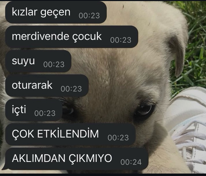 Karşı cinsin yaptığı hangi davranış sizi etkiler 🤔?