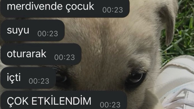 Karşı cinsin yaptığı hangi davranış sizi etkiler 🤔?