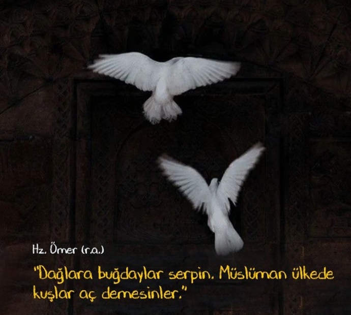 Görselini en iyi ifade eden kısa notunu buraya ekleyebilirsin.