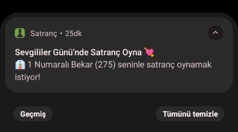 satranç uygulaması bir şeyler deniyor