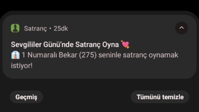 Satranç oyniycaktım uygulama bana koca bulmuş wtf?