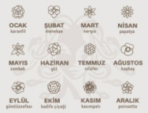Doğum Ayınıza Göre Hangi Çiçeksiniz?