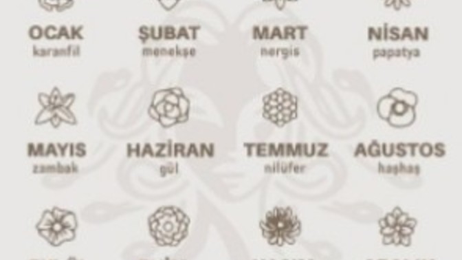 Doğum Ayınıza Göre Hangi Çiçeksiniz?