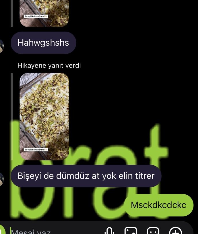 Instagrama foto atarken sürekli açıklama yapıyor musunuz?