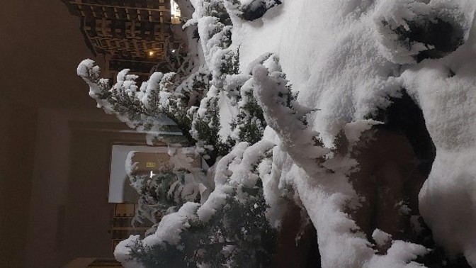 Kar yağışlı geceyi sever misiniz 🌑🌨️?