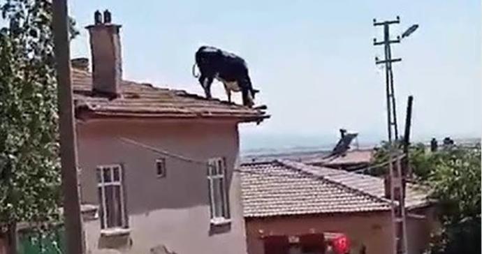 Kahvaltıyı yatağa getiren sevgili/eş sevgililer gününde hediye almasa da olur mu?