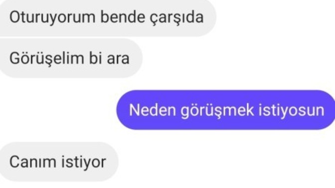 Bir ay önce sinirlenip beni silen adamın bu mesajlarda amacı ne?