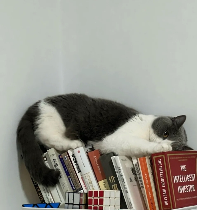Bana kitap okumayı sevdirdi dediğiniz kitap hangisi?