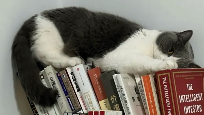 'Bana kitap okumayı sevdirdi' dediğiniz kitap hangisi?