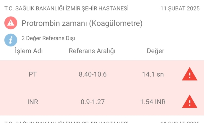 Kan tahlilinden anlayan varsa bakabilir mi lütfen teşekkür ederim?