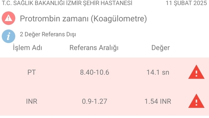 Kan tahlilinden anlayan varsa bakabilir mi lütfen teşekkür ederim?