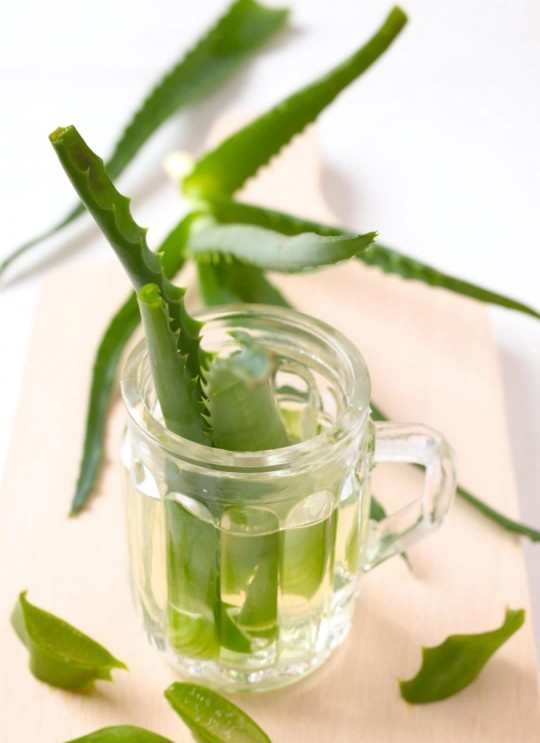 Aloe vera maskesi sivilcelere kesin çözüm müdür?