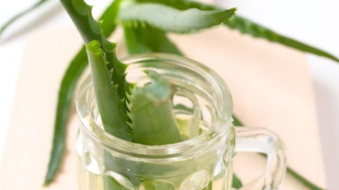 Aloe vera maskesi sivilcelere kesin çözüm müdür?