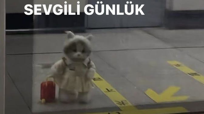 Ruh haliniz genellikle sabit mi yoksa sık değişir mi?