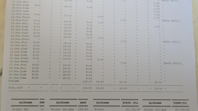 Maaş bordrouma bakar mısınız?