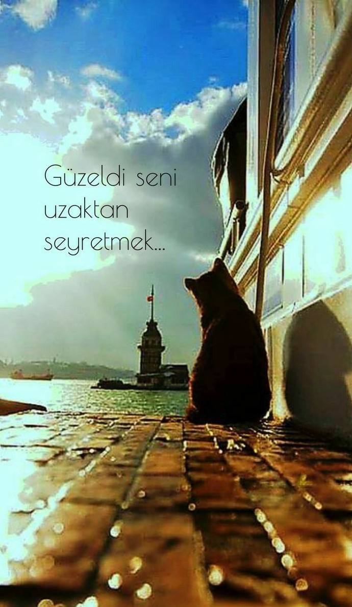 Uzaktan sevmek seni yorar mı?