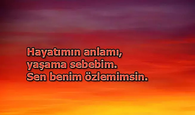 Senin için aşkın en romantik tanımı nedir?