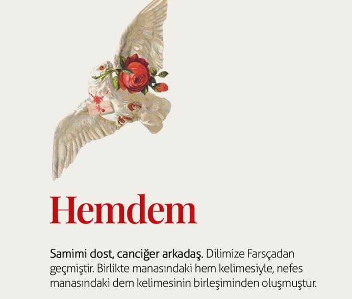Senin de hemdemin var mı?