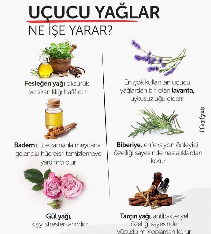 Bitkisel yağlar kullanır mısınız?