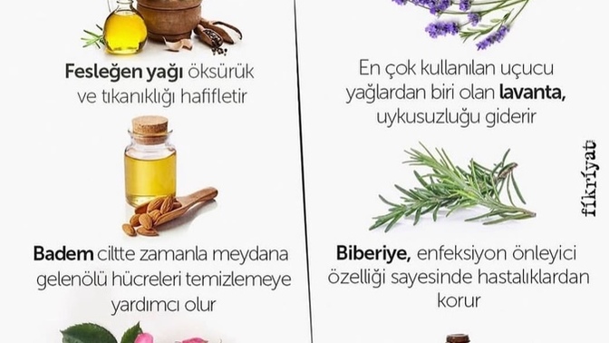 Bitkisel yağlar kullanır mısınız?