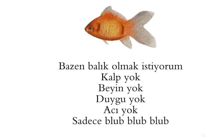 Sizde bazen balık olmak istiyor musunuz?