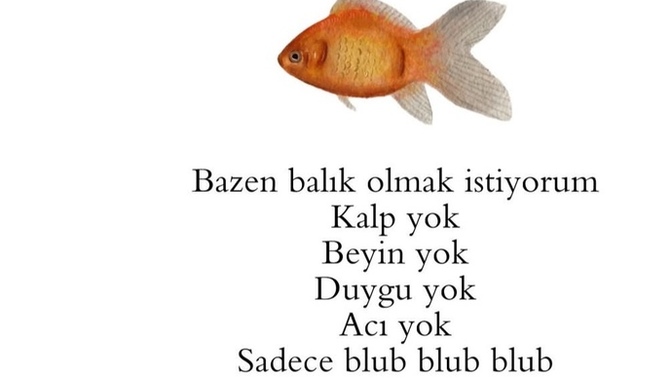 Sizde bazen balık olmak istiyor musunuz?