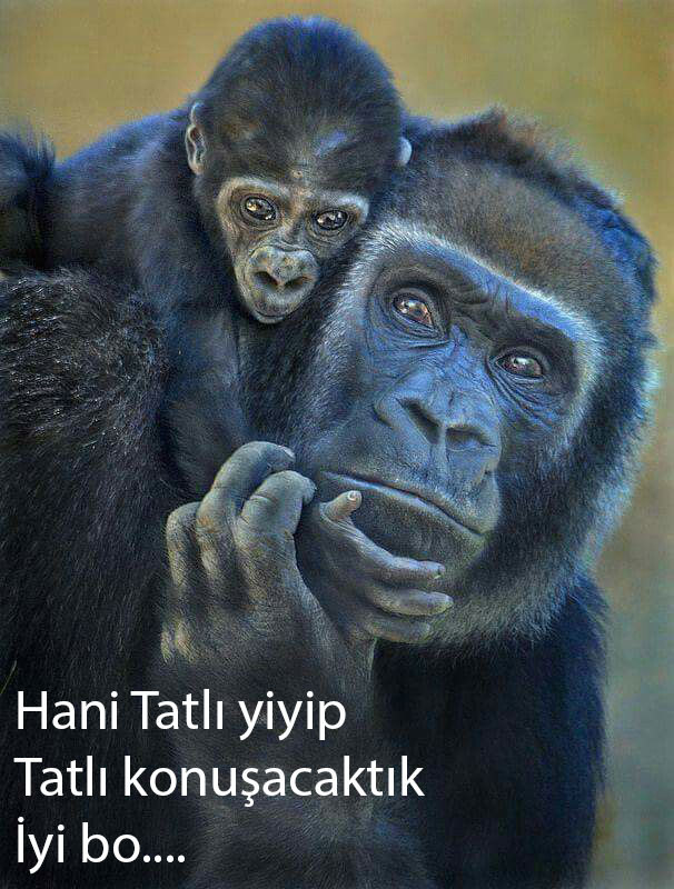 Erkek çeyiz bohçasında "damat kiti" olması şart mı?