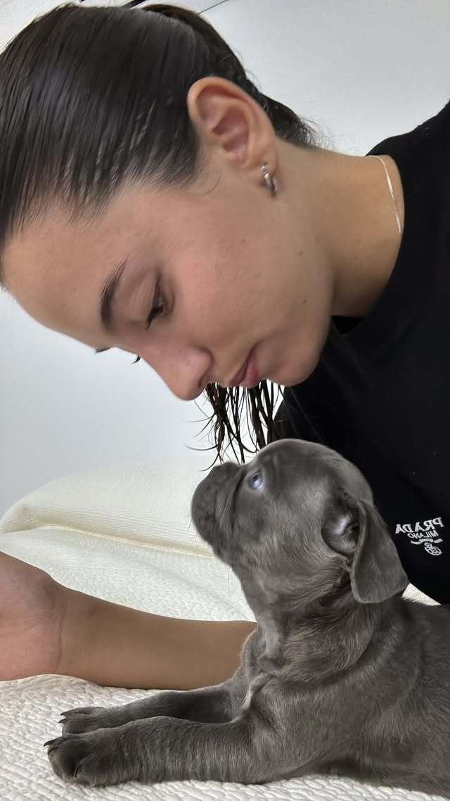 Bu köpeğin ismi ne olsun sizce 🐶?