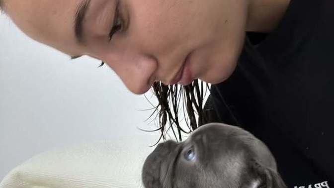 Bu köpeğin ismi ne olsun sizce 🐶?