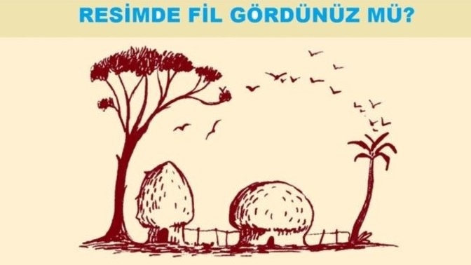 Resimde bulunan Fil canlısını görebildiniz mi?
