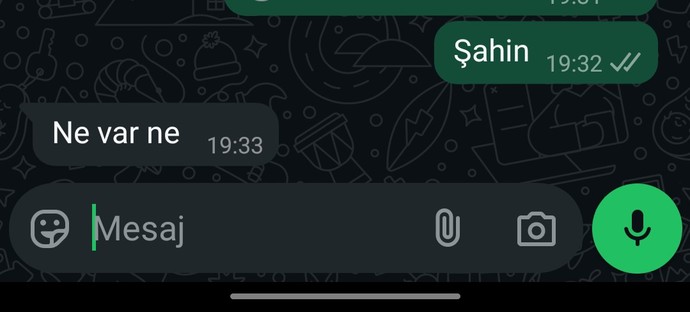 Sadece sesini özlediğim adamın bana attığı mesaöa bakın?