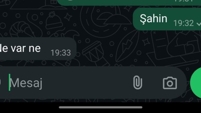 Sadece sesini özlediğim adamın bana attığı mesaöa bakın?