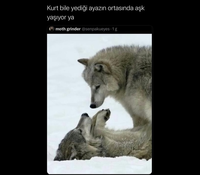Aşk yaşadınız mı?