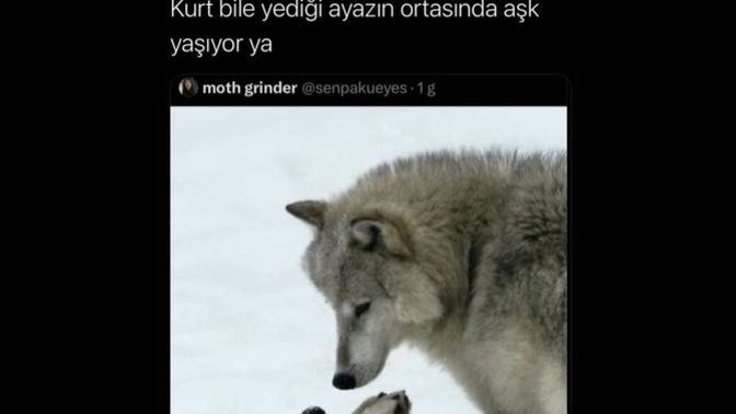 Aşk yaşadınız mı?