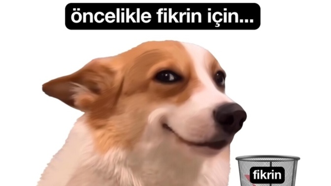 Ksden aldığınız fikirleri uygular mısınız?🤭🤭?