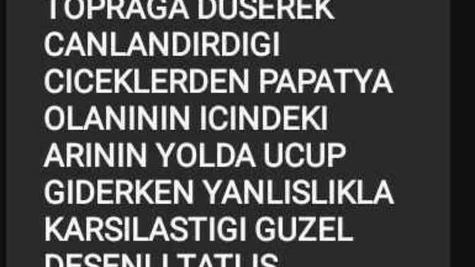 Yalandan iltifat eder misiniz?
