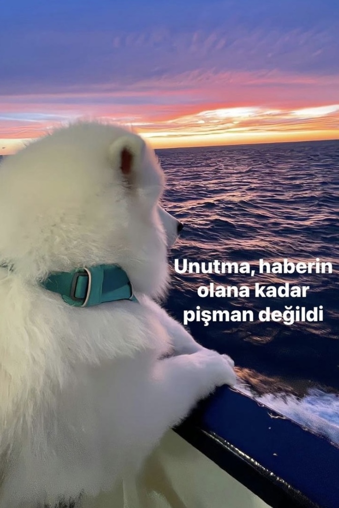 Size hata yapan ama pişman olup özür dileyen birini affeder misiniz?