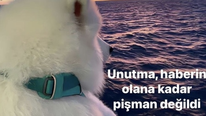 Size hata yapan ama pişman olup özür dileyen birini affeder misiniz?