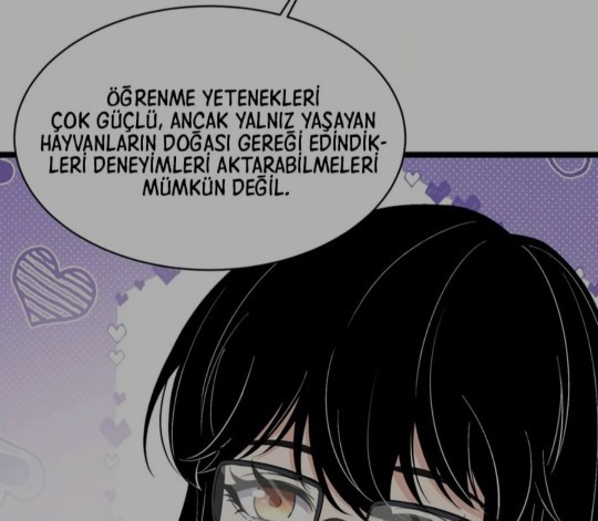 Zeka veya akıl insanları sosyalleştiriyor mu? Yoksa yalnızlaştırıyor mu?