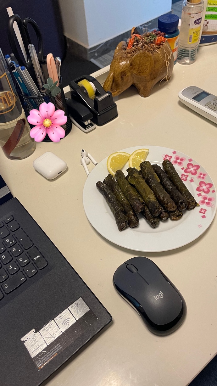 Yaprak sarması sever misiniz,  ben yaptım. Nasıl olmuş?