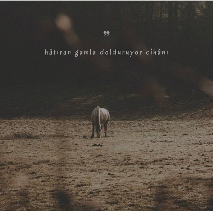 Bir insan neden susar?